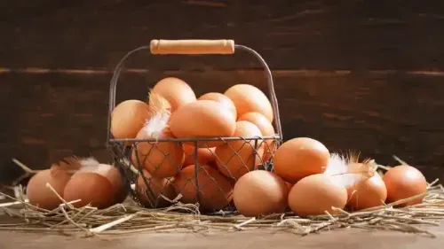 What’s the Best Time to Eat Eggs for Weight Loss?